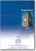 Budget Report 2011