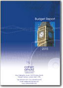 Budget Report 2015